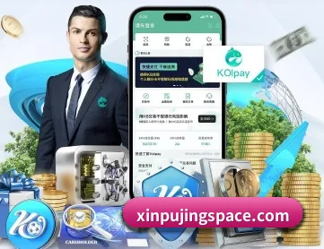 新葡京 APP